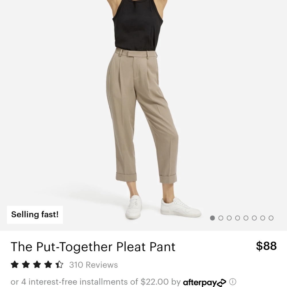 Everlane put together pleat pant